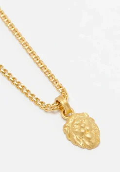Prounis 22K, Leo Pendant