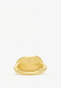 Pippa Small 18K, Light And Space Aquamarine Java Ring